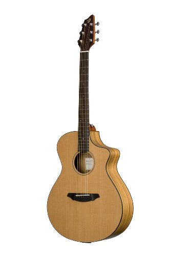 Breedlove Passport C250CO Guitar