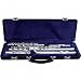 Musical Instruments : Gemeinhardt Flute & Piccolo Combo Cases (Case w/handle for C foot flute and piccolo)
