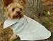 Risotto Ice Blue Hampton Dog Coat (Small)