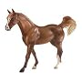 S. Justadream (Arabian Mare)