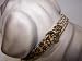 Kitchen & Housewares : Jungle Prince 14in Dog Collar Leopard 1429