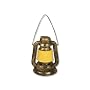 Harry Potter Safety Lantern