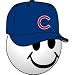 Antenna Topper - Chicago Cubs