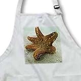 Seastar, San Blas Islands - Medium Length Apron With Pouch Pockets 22w X 24l