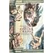 Michelangelo And The Sistine Chapel
