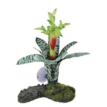 STRIPED BROMELIAD PLANT 8"