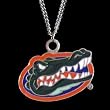 Florida Gators Logo Pendant Chain Necklace - NCAA College Athletics Fan Shop Sports Team Merchandise