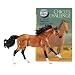 Breyer Chico's Challenge Classics Scale Model and Book Set