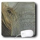 Kike Calvo Animals - Elephant - Mouse Pads