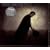 Mule Variations [VINYL]