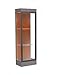 Waddell 91LFTC-BZ-MZ Edge 24 x 76 x 20 in. Morro Zephyr Base Lighted Floor Display Case with 2 ft. Hinged Door & 6 in. Base44; Terra Cotta Back - Dark Bronze