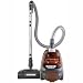 Electrolux Ultra Active Bagless Canister Vacuum, EL4300A