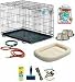 Puppy Starter Kit - PSUSA