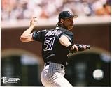 Randy Johnson Arizona Diamondbacks 8x10 Photo #6