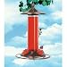  : Birdscapes 710 Brushed Metal Hummingbird Feeder, 12 oz capacity