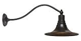 World Imports Lighting 9099-89 Dark Sky Kingston Light Outdoor Lantern, Bronze