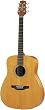 Takamine GS330S Acoustic Guitar