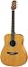 Takamine GS330S Acoustic Guitar