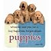 Golden Retriever Puppies Die-Cut Wit & Wisdom Magnet