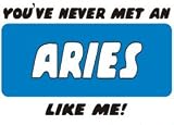 YOU VE NEVER MET AN ARIES LIKE ME! T-Shirt (Various Colors Available)
