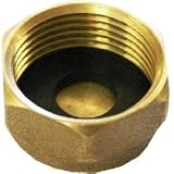 31haJwQDYFL. SL160  3/4 Brass Washing Machine Blanking Cap