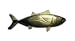 Aphrodite(アフロディーテ) ネクタイピン 魚 クロマグロ 黒鮪 金色 日本製
