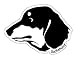 �����å����ե�ɲ���DOG FACE���ƥå���/�ɿ�ù��� ����ä���ͥƥ����Ȥʲİ���������󥹥ƥå���<br><br>�ɿ�ù��ʤΤǼ֡��Х����ʤɤˤ�Good! <br><br>������������60mm��90mm