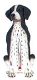 Thermometer - Pointer