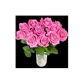 12 Pink Roses - The Classic Dozen Pink Rose Bouquet from InterRose the online Florist of Choice