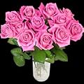 12 Pink Roses - The Classic Dozen Pink Rose Bouquet from InterRose the online Florist of Choice