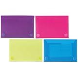 Filexec 3x5 Index Case, Snap Button Closure, 5 Index Dividers, Assorted (Pack of 4) (50098-2027)