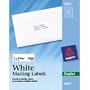 Avery White Mailing Labels for Copiers, 1 x 2.81 Inch, Pack of 825 (5354)