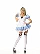 Sexy Blue Alice Dress Womens Adult Costume
