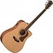 D52SWCE Acoustic Electric Guitar
