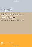 Molds, molecules, and metazoa : growing points in evolutionary biology
