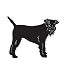 Terrier Dog Pet Lakeland Terrier Car Truck Vehicle Bumper Helmet Decal Sticker Wall Art Laptop Design Skin Stickers