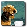 Dogs Airedale - Airedale Terrier - Mouse Pads