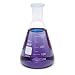 WPI CG-0112 Glass Erlenmeyer T-II Flask with Taper-Ground Neck, 250mL Capacity (Pack of 6)