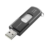 SanDisk 2 GB