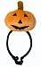 Apparel : New! Kyjen Halloween Headgear Pumpkin Head Pet Costume