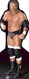 Wrestler Triple H - WWE Lifesize Standup