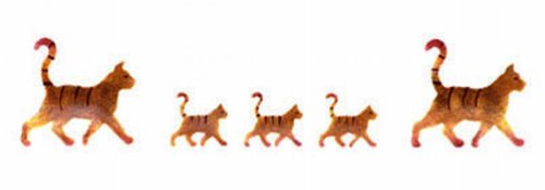 Home Design B074 - Motiv-Schablone, selbstklebend Katzen 13 x 40 cm