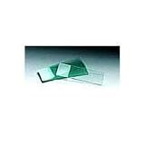 Microscope Slides- 1/4 Frosted (Pack of 72)