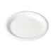 SOLO RS105Y-0007 Polystyrene Laminated Foam Dinnerware Centerpiece Plate, 10.25" Diameter, White (4 Packs of 125)