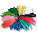 Indianer-Federn, 100g, mehrere 100 St�ck SPAR-PACK