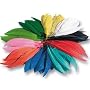 Indianer-Federn, 100g, mehrere 100 St�ck SPAR-PACK von Party Discount