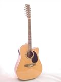 ACOUSTIC/ ELECTRIC 12 STRING GUITAR PROFESSIONAL PLAYER