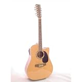 ACOUSTIC/ ELECTRIC 12 STRING GUITAR PROFESSIONAL PLAYER