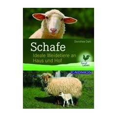 Schafe: Ideale Weidetiere an Haus und Hof
