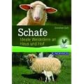 Schafe: Ideale Weidetiere an Haus und Hof